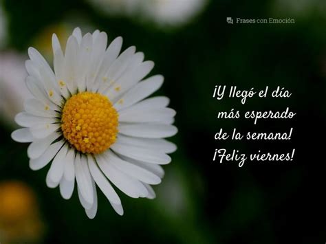 Y Lleg El D A M S Esperado Feliz Viernes Llego Viernes Frases