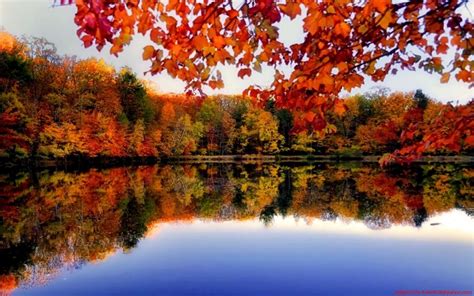 Autumn At The River Wallpapers - Wallpaper Cave