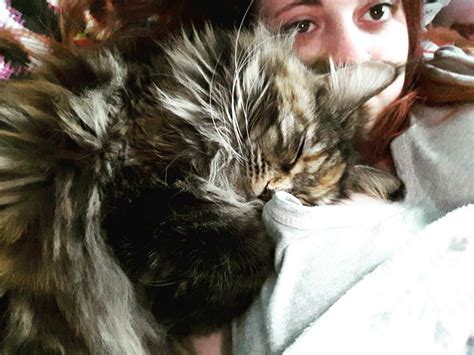 Face Buried In A Mountain Of Pussy Scrolller