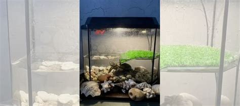 Аквариум для черепах купить в Коврове | Животные и зоотовары | Авито