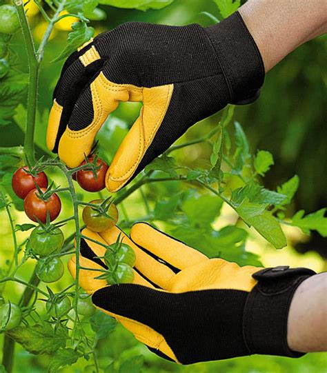 Garden Gloves For Anglophiles Gardenbloggers