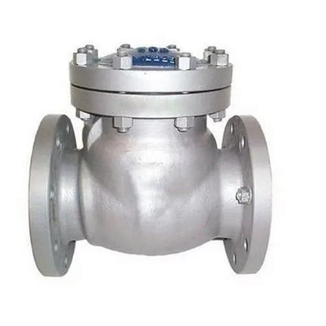 Bar Stainless Steel Swing Check Valve Packaging Type Box Size