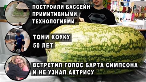 АРБУЗ ВЕСОМ 130 КГ - YouTube