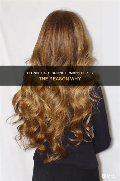 Blonde Hair Turning Brassy Here S The Reason Why Shunsalon