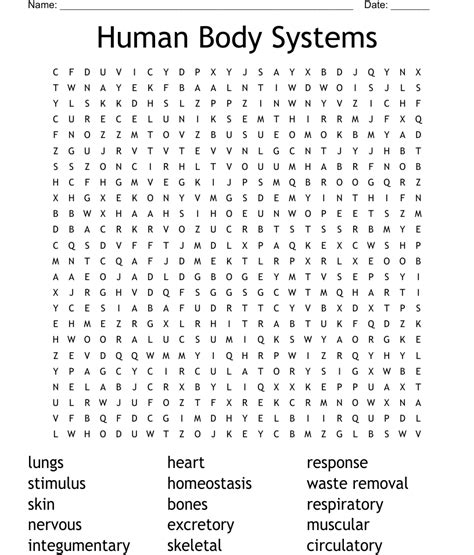 Human Body Systems Word Search WordMint