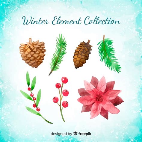 Free Vector Watercolor Winter Flower Collection