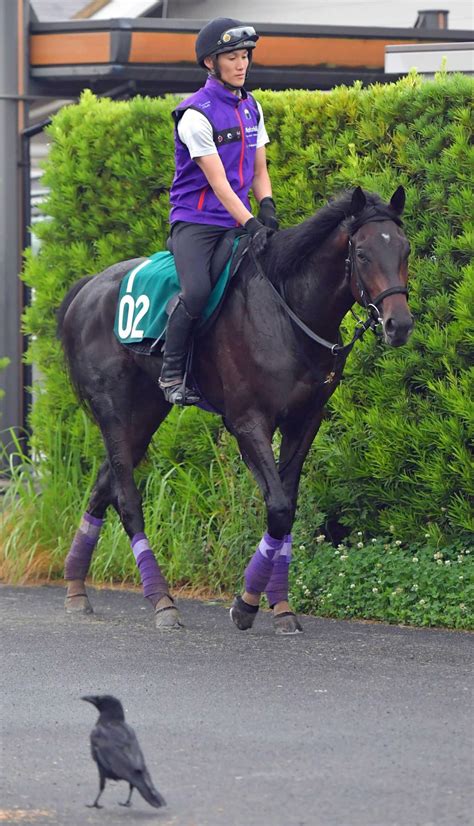 【pog】フィデル、名門友道厩舎の先陣切る 大江助手「しっかりと動ける」 競馬ニュース Netkeiba