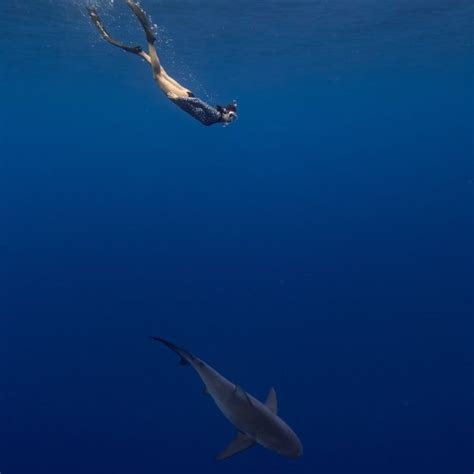 Nina Dobrev Hot Sexy 6 Photos The Fappening