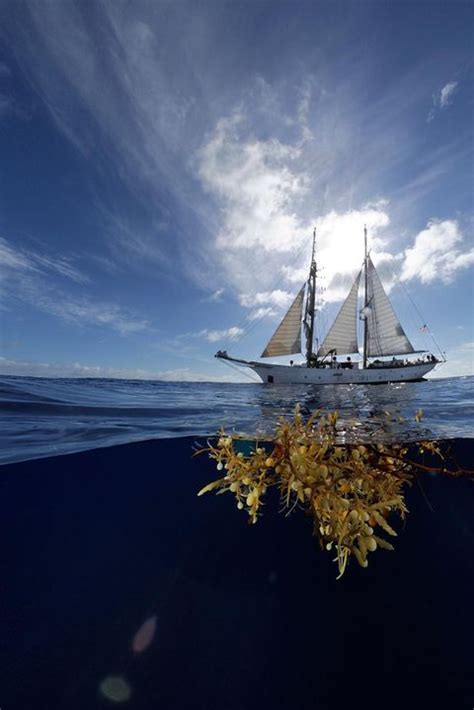 Verhütung beim Sex Wie sicher ist Coitus interruptus GEO