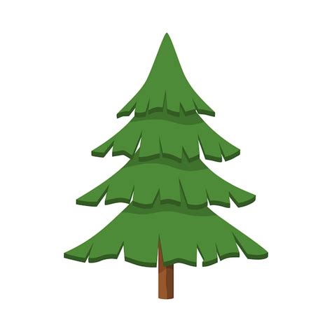 Premium Vector Evergreen Coniferous Tree Spruce Isolated Forest Pine