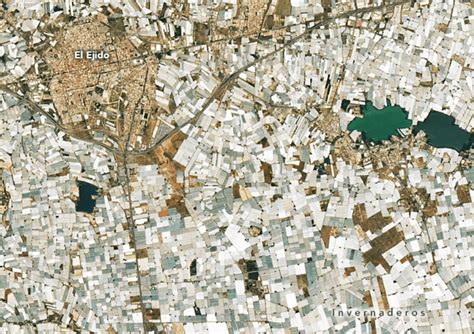 El CEIGRAM impulsa la adaptación climática en invernaderos Innovación