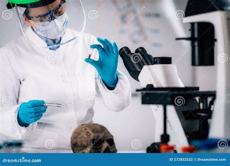 Ancient Dna Scientist Working In Bio Archaeology Lab Stock Photo