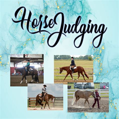 Horse Judging