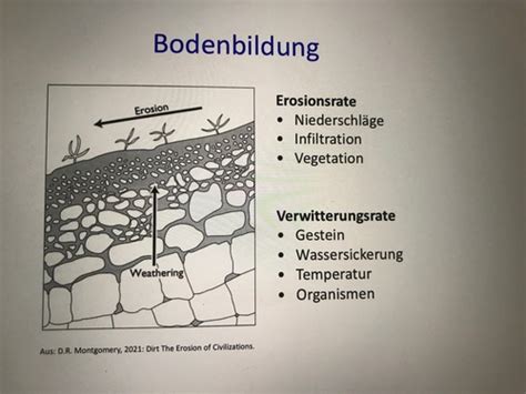 1 1 Einführung Flashcards Quizlet