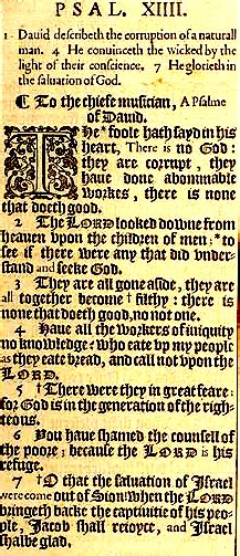 Psalme 14 The God Code Edward De Vere Sonnet 76 The White Crow