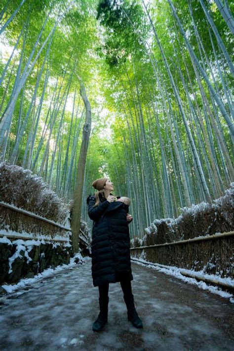 The Ultimate Japan Winter Itinerary (2 Weeks, 4 Cities) - Be My Travel Muse