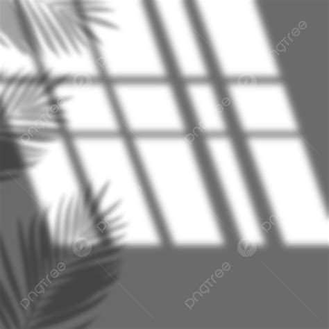 Window Shadow Overlay Hd Transparent Wall With Window Shadow Overlay