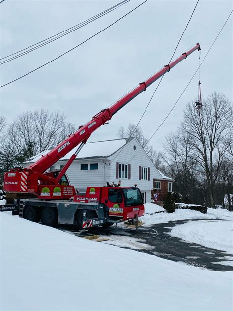 tree crane removal
