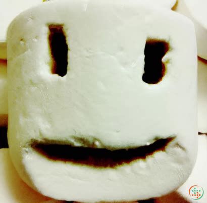 Photograph Of Marshmallow Face | Artificial Design