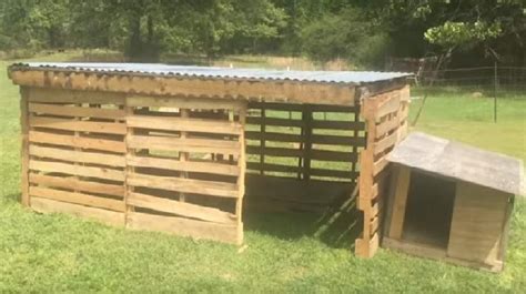 25 Cheap Easy Goat Shelter Ideas Using Diy Pallets In 2020 Goat