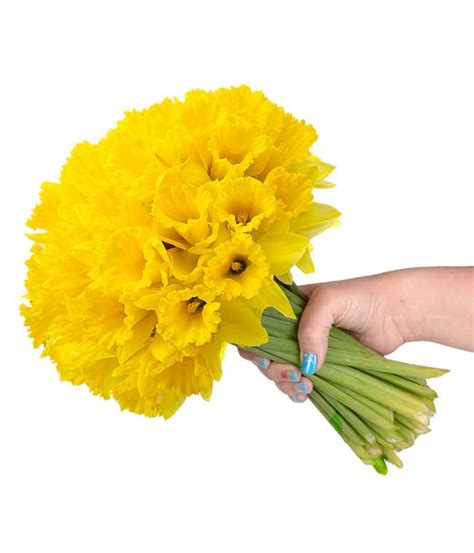 Spring Flowers | Spring Flower Delivery