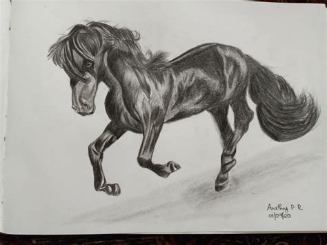 Horse pencil drawing