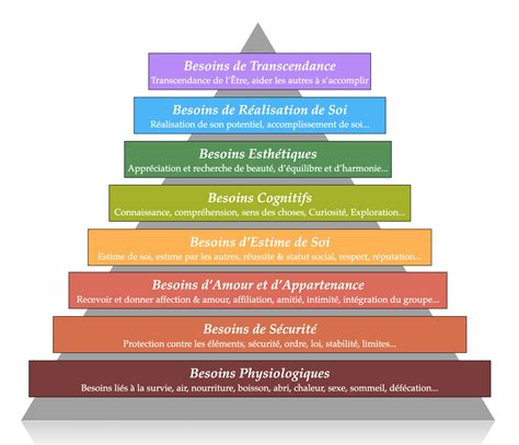 La Pyramide De Maslow Les 8 Niveaux Et Besoins Psychologiques