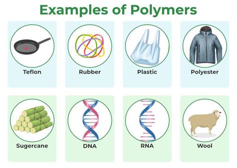 What is a Polymer? | GeeksforGeeks