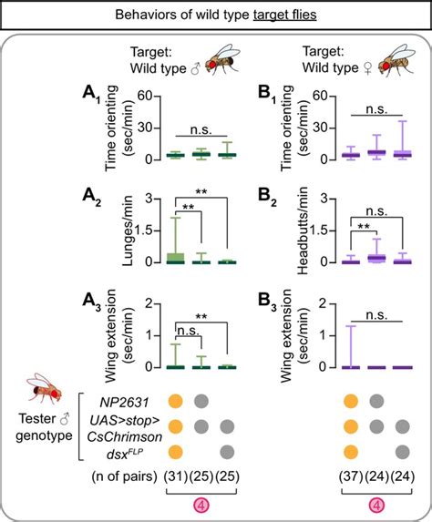 Figures And Data In Sex Determining Genes Distinctly Regulate Courtship Capability And Target