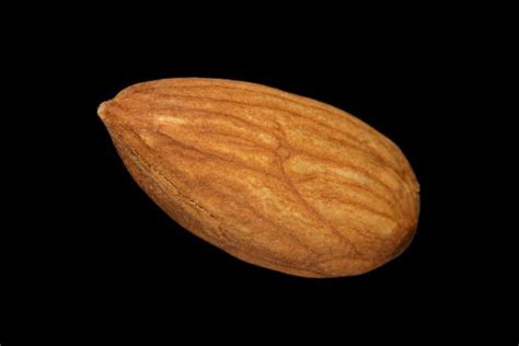 Hilli Almond,India price supplier - 21food