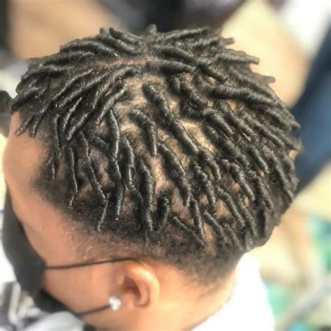 Coils Into Dreads At Minh Hilton Blog