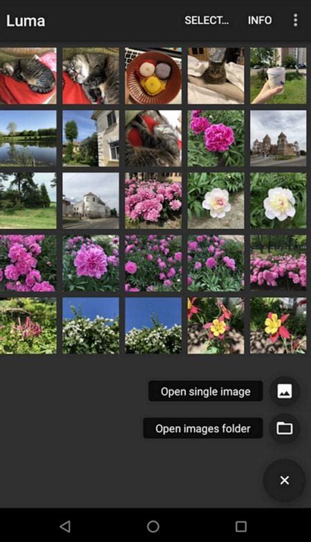 How to Convert HEIC to JPG on Android in Easy Steps