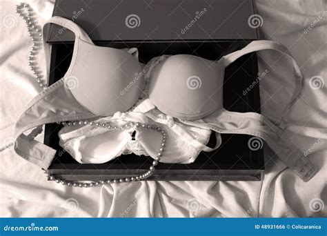 Lingerie Set With Pearl Necklace Stock Photo Image Of White Panties