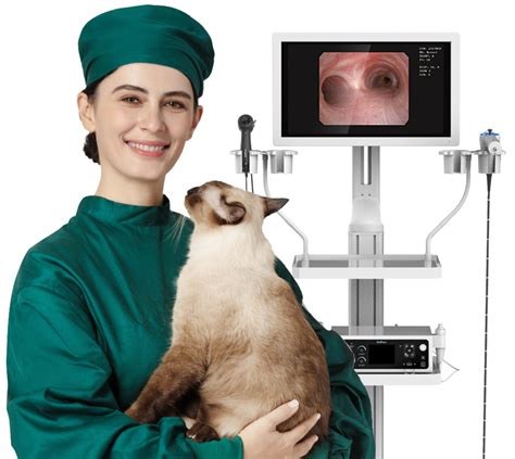 Veterinary & Pet Internal Medicine & Endoscopy Specialist | JeetVet