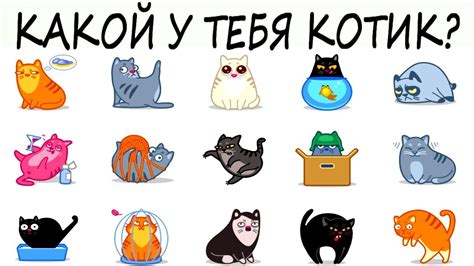 Тест! Выберите породу кошки и узнайте, какой у вас характер! Тесты ...