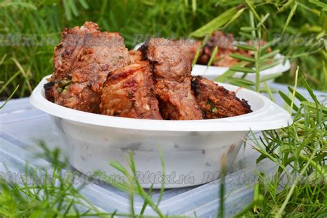 Шашлык из свинины, маринованный в луке: 11 фото в рецепте