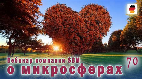 Встреча 70. Вебинар немецкой компании SBM, распространяющей изделия с ...