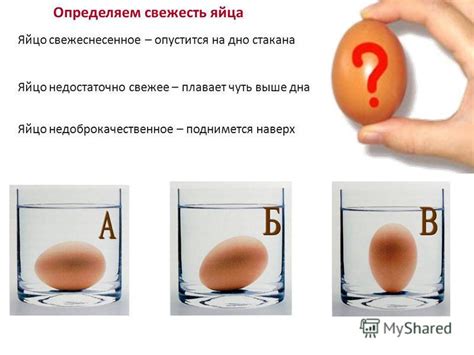 Презентация на тему: "Способы определения свежести яиц. В одном яйце ...