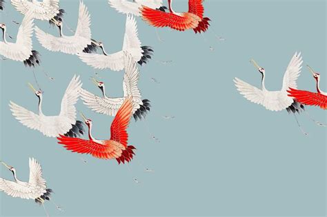 Japanese Crane Images Free Photos Png Stickers Wallpapers