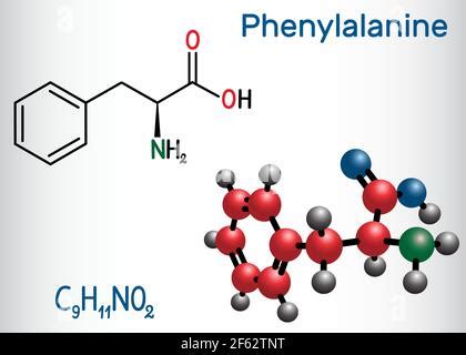 Formule chimique de la phénylalanine Formule chimique structurale de la