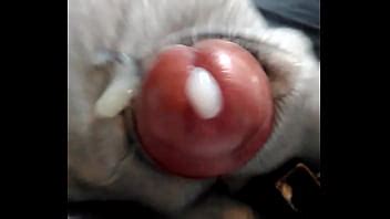 Sortir Du Lait Xvideos