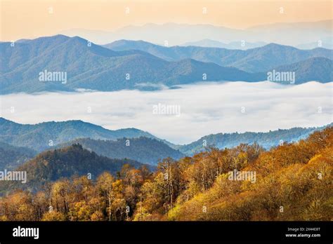 Spring Morning And River Of Mist In Deep Creek Valley Great Smoky