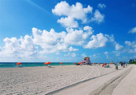 Haulover Park Tours - Book Now | Expedia