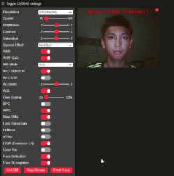 Face Detection System Results | Download Scientific Diagram