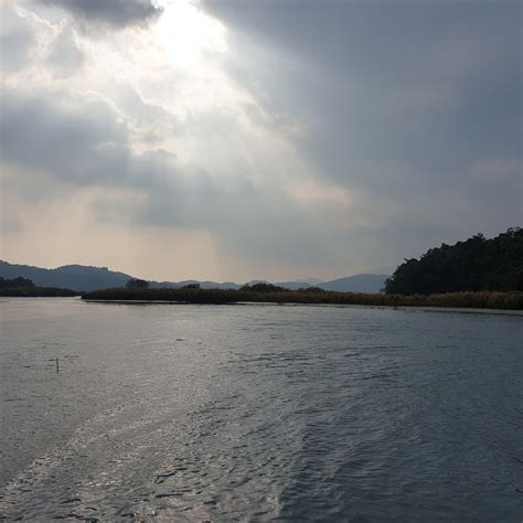 Dajhu Lake Waterbird Refuge - All You Need to Know BEFORE You Go (2025) 