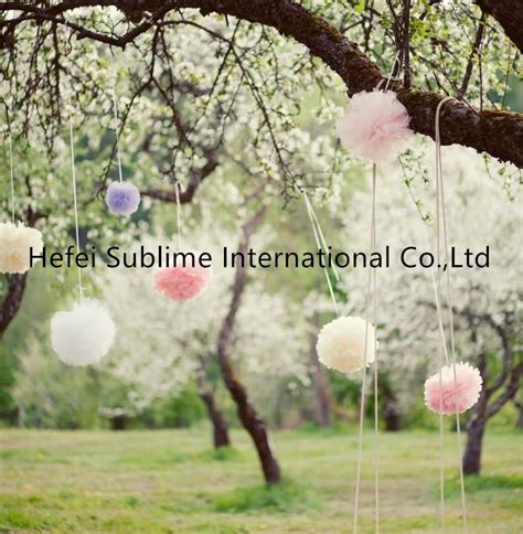 Paper Flower Ball Pom Poms Party Decorations China Home Decorations