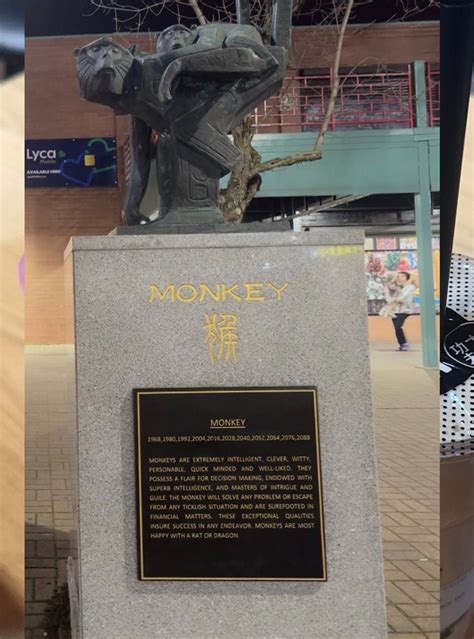 The Best Chicago Horoscopes and Zodiac Insights for a Happy and Healthy Life