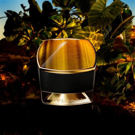 Bvlgari Le Gemme Tygar: The Duel of Ambroxan and Citrus Inspired by ...