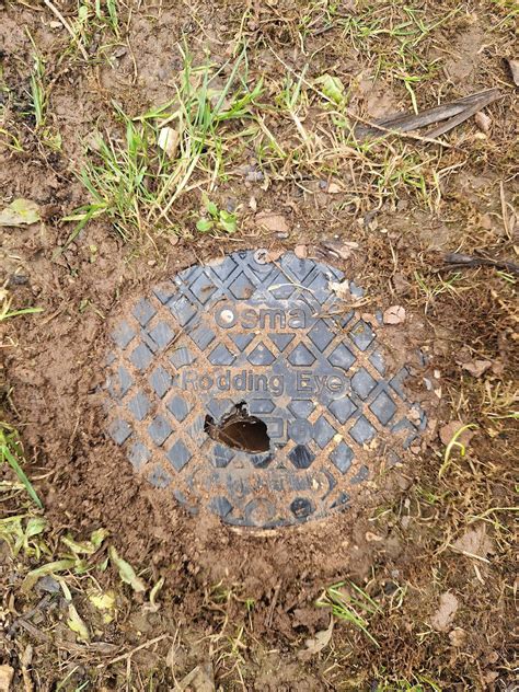 Replacement Rodding Eye Coverspoint Diynot Forums