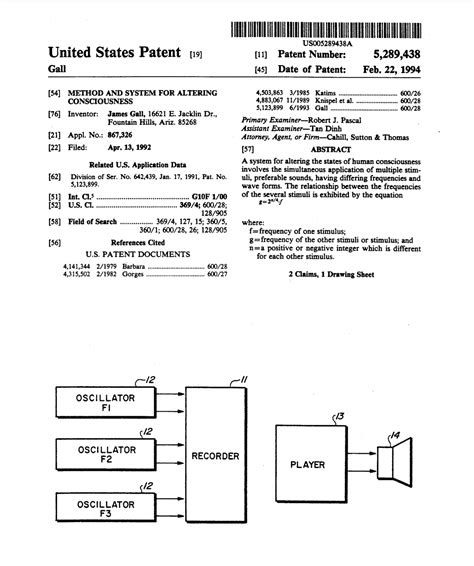 Targeted Individual / V2K / Voice to Skull / Voice of God | The Phoenix